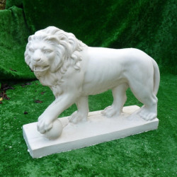 LION PALMI